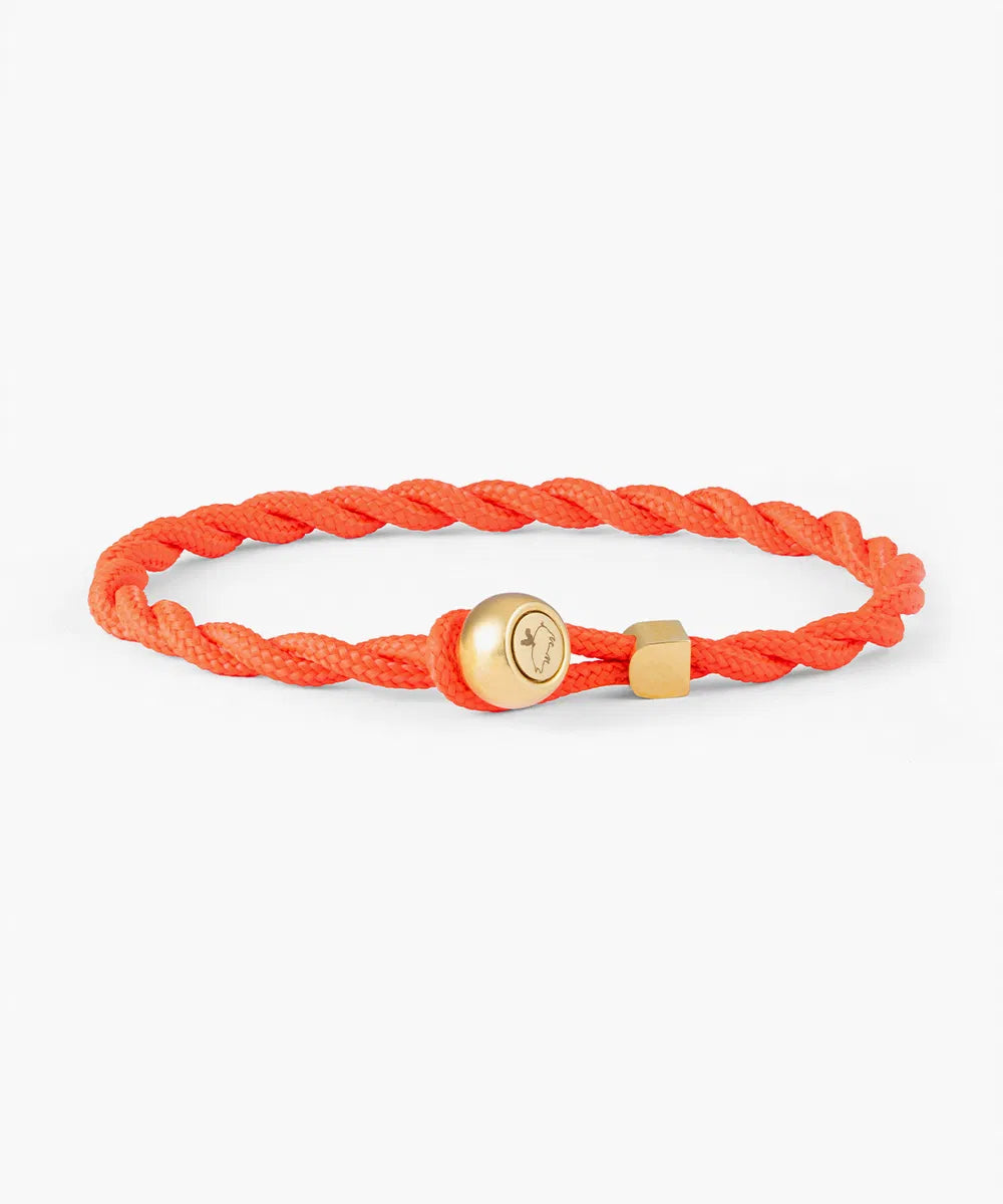 ED - RADIANT ORANGE - GOLD