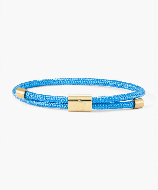 LEWIS - LIGHT BLUE - GOLD